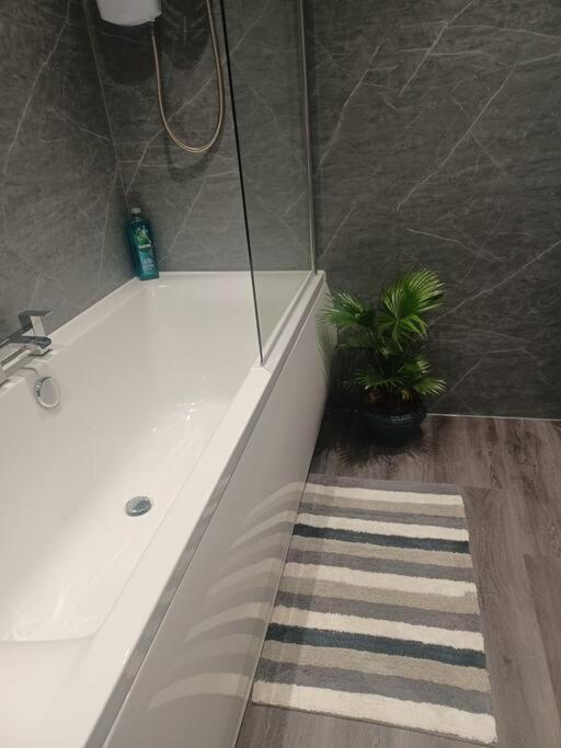 Beautiful Masons Hideaway Studio Apartment Bridgend  Extérieur photo